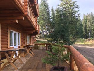 Alpin Eco Chalet & Wellness - Dragobrat - 2