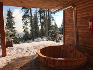 Alpin Eco Chalet & Wellness - 5