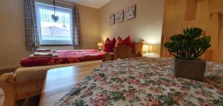 Apartmán u Babičky Ždiar - Ždiar - 8