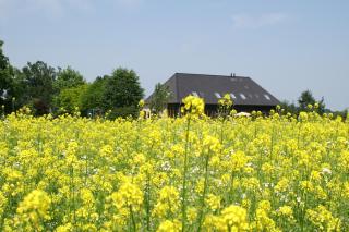B&B de Luijenbergh - Oud-Gastel - 3