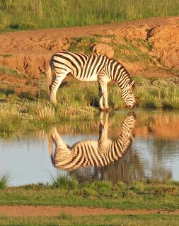 Letsatsi Game Lodge - Smithfield - 7