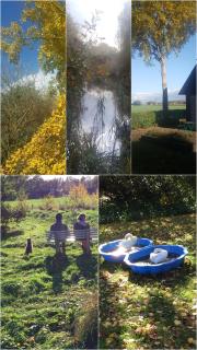 Grenier's - Punthorst - 4