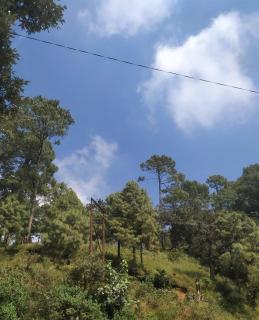 Maavaa Dreamland - 5