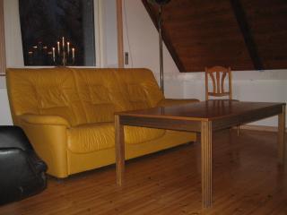Loft Ålaryd - Skillingaryd - 2