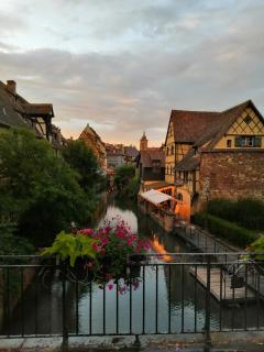 La Cour de Berthe Ouest - Colmar - 8