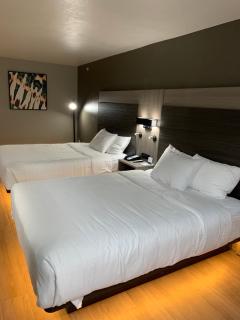 Quality Inn & Suites North Mesquite I-30 - 2
