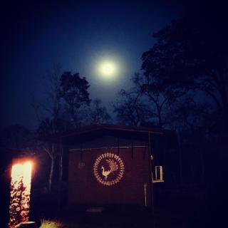 Pench Tiger Camp - 1