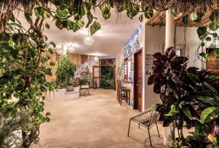 Hotel Aires Bacalar - Bacalar - 1
