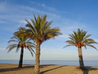 Precioso apart sur y norte cerca playa y centro - Cascadas de la Marina - Denia - 5