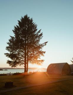 Ocean Village Resort - 6