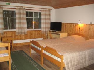 Rinnepelto Holiday Cottages - Tahkovuori - 4