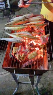 Nhà nghỉ Cát Đằng Hồ Tràm - 3