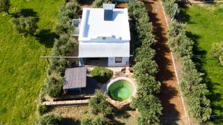 Olive Stone Farm Cottages - Montagu - 3