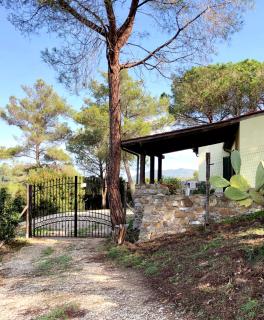 Elba Villa Colle - Nel verde ma vicina al mare - 8