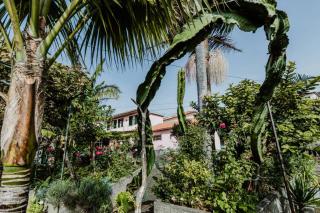 City View Gardens - Funchal - 3
