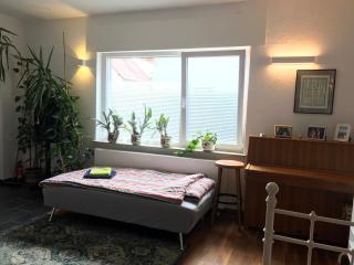 Großes, helles Apartement - Nähe Marburg & Gießen - Fronhausen - 3