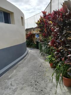 Casa Zona Velha - Caetano - Funchal - 7