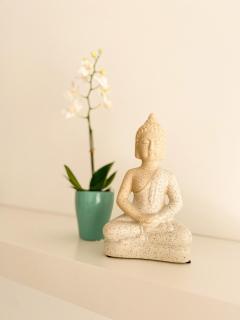 Pirin Golf Studio Apartment - 2