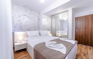 MIKRAS LUXURY APARTMENT - Sinaia - 2