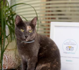 Tropicana Residence - 4