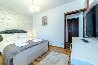 MIKRAS LUXURY APARTMENT - Sinaia - 8