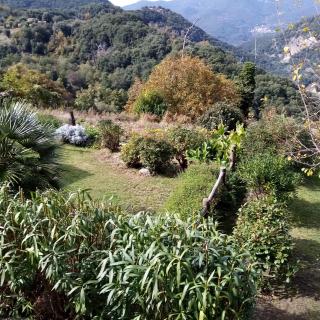 les chalets et gite du haut taravo - Zicavo - 6