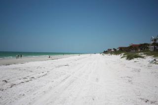 Cypress-n-Sun B-3 - Clearwater Beach - 7