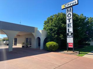 Citrus Motel - Griffith - 0