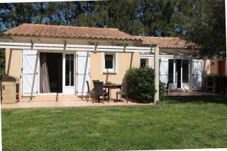Domaine Les 4 Vents - Patrimonio - 7