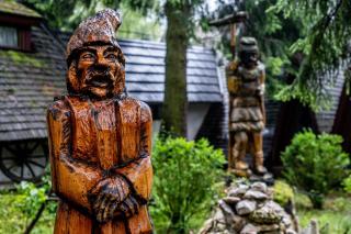Pensiunea Sura Dacilor - Alex - Poiana Brasov - 3