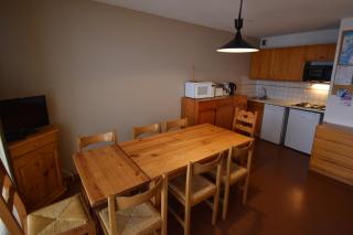 VAUJANYLOCATIONS - Cochette I Apt 14 - Vaujany - 1