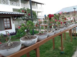 Brisamar Hotel Pousada - Barra de São Miguel - 9