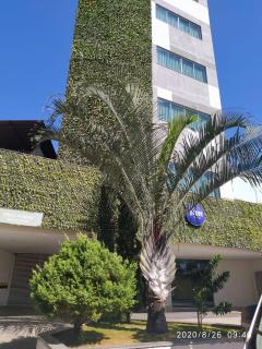 Front Hotel Expominas - 9