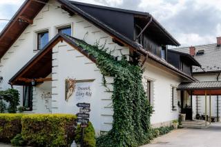 Dworek Złoty Róg Hotel i Restauracja - Cracovia - 9