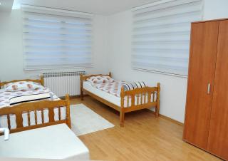 Apartman Lizdek - Pale - 9