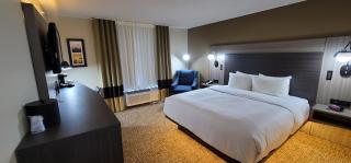Comfort Inn & Suites North Dallas-Addison - Dallas - 5