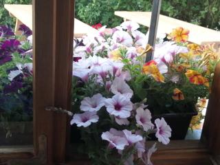 Gasthaus zum Späth - 2