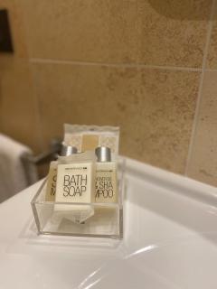 MH Hotel Piacenza Fiera - Piacenza - 6