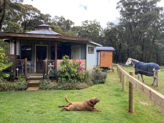 Ionaforest Yurt - Wingello - 4