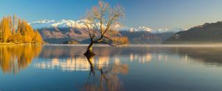 The Moorings Motel and Apartments - Wanaka - 9