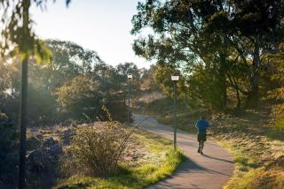 Discovery Parks - Jindabyne - 3