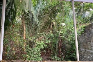 Chacala Arrecifes 3 para 6 con Aire Acondicionado a solo 50 mts de la Playa ARF3 - 8