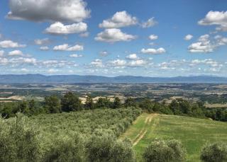 Borgo Poggio Bianco - Sarteano - 3