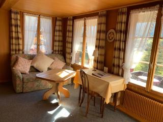 Hotel Wildhorn - 3