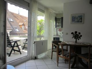 FeWo - Mitten In Freiburg - Freiburg im Breisgau - 2