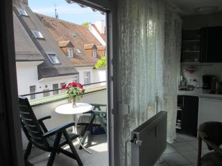 FeWo - Mitten In Freiburg - Freiburg im Breisgau - 8