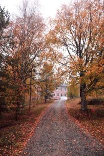 B&B Gillhov & Camping - Svenstavik - 7