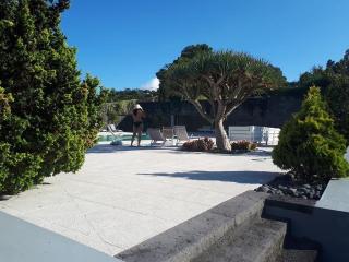 Quinta das Flores - Capelas - 2
