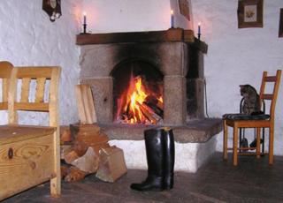 Reiterhof Stöglehner - Rainbach im Mühlkreis - 3