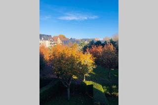 La petite madeleine de Proust - Cabourg - 4